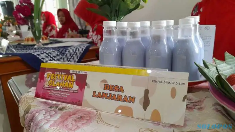 rekomendasi susu kambing etawa terbaik untuk acara